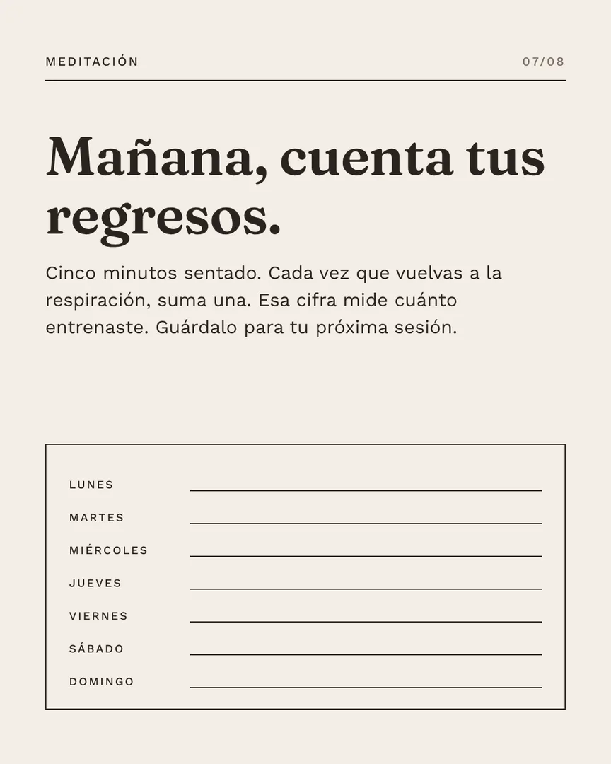 La mente en blanco nunca fue la meta, slide 7 de 8