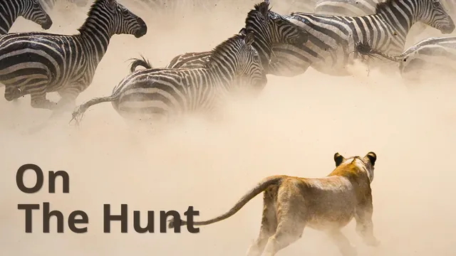 On The Hunt